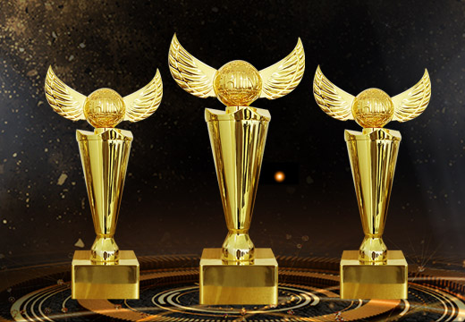 金屬紋飾創(chuàng)意獎杯定制
