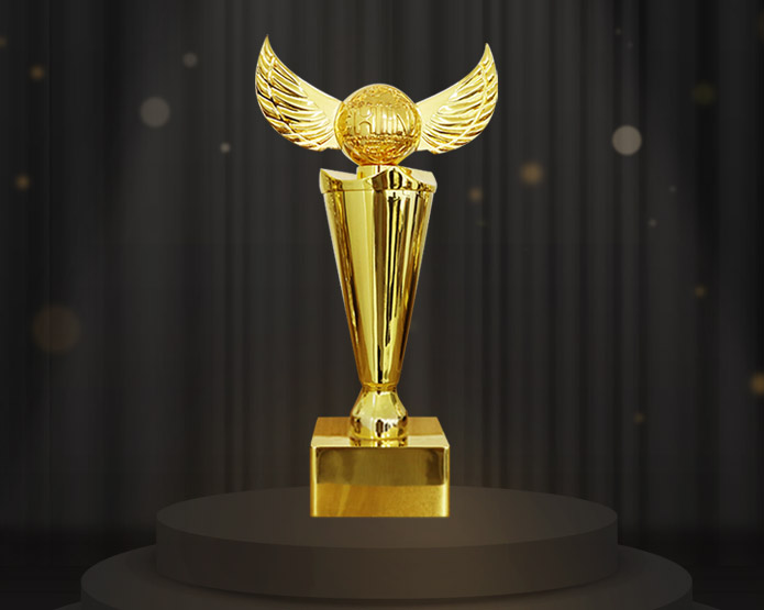 文創(chuàng)獎杯定制