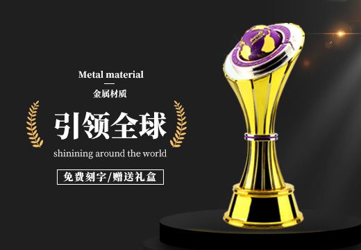 金屬引領(lǐng)全球創(chuàng)意獎(jiǎng)杯定制